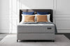 Sealy Mattresses available in Taste Furniture Adelaide