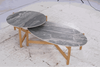 Padua Outdoor Coffee Tables (Set of 2)